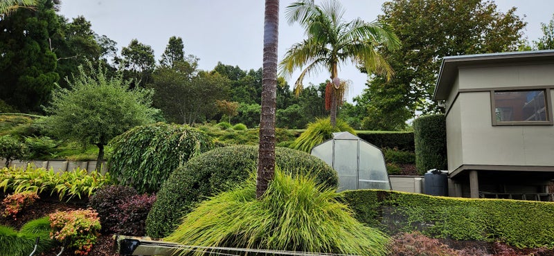 310 Appleby Road, Drury, Drury - Carousel 27