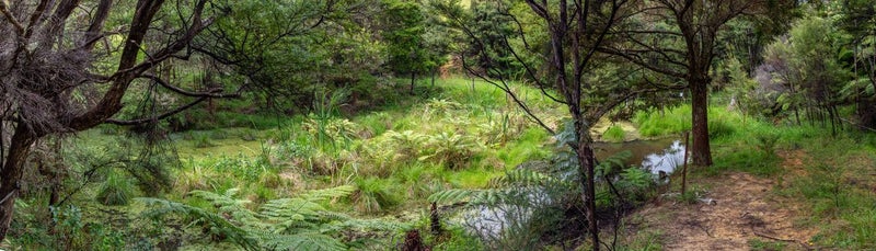 75 Awa Way, Onerahi - Carousel 29