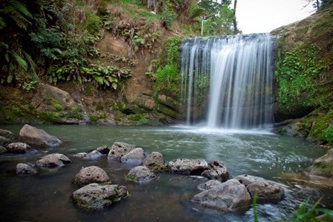 24 Alverston Street, Waterview, Auckland - Carousel 13
