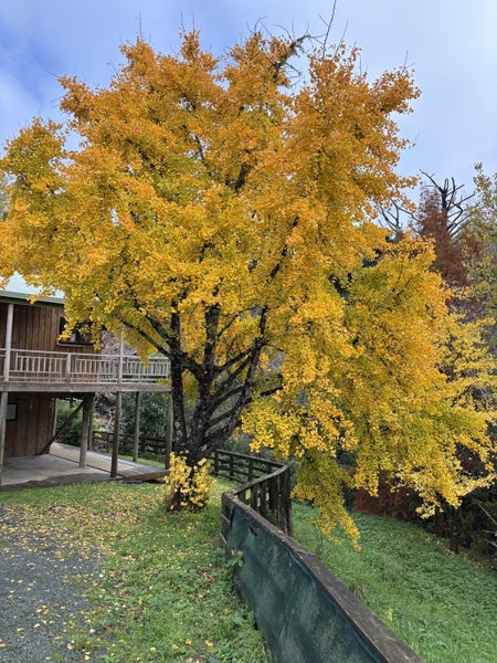 158 Tunnel Road, Puhoi, Warkworth - Carousel 28