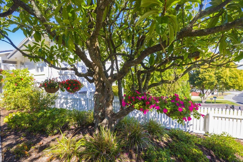 23 Merchant Avenue, Te Atatu South, Auckland - Carousel 23