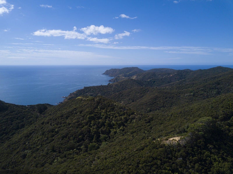 303 Waiaua Road, Hihi, Mangonui - Carousel 1
