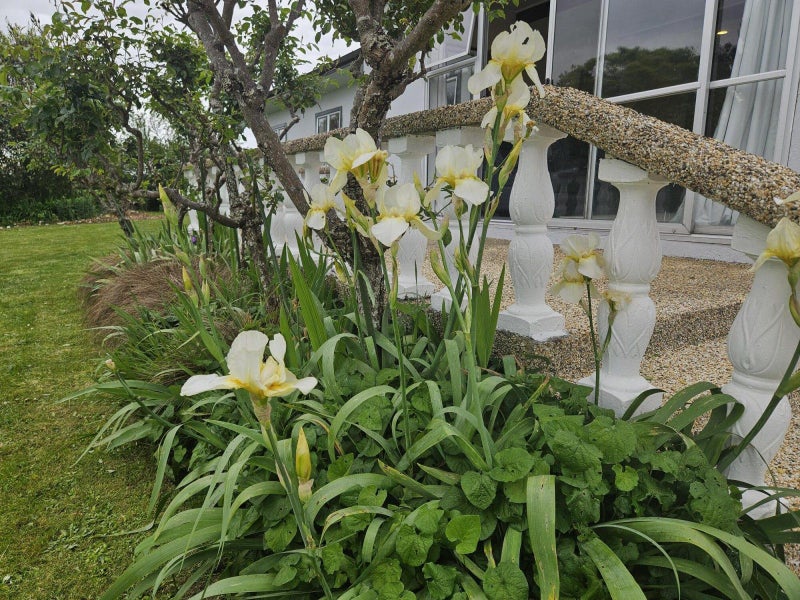 558 Harwoods Road, Tirau - Carousel 27