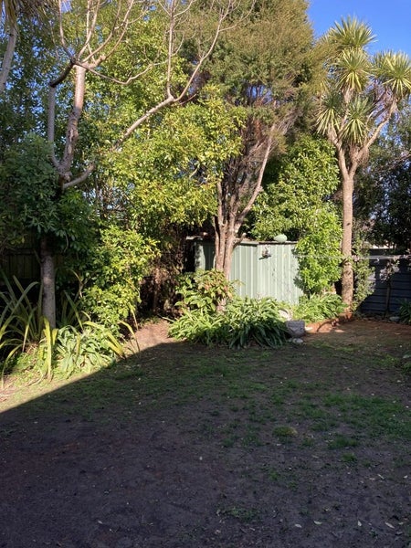 26 Weka Street, The Wood, Nelson - Carousel 14