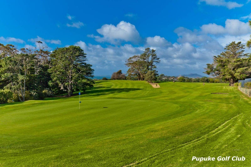 3 Tree Fern Trail, Campbells Bay, Auckland - Carousel 31