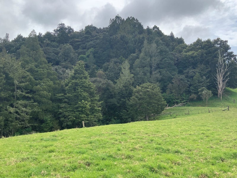 96 Awaroa River Road, Abbey Caves, Whangarei - Carousel 5