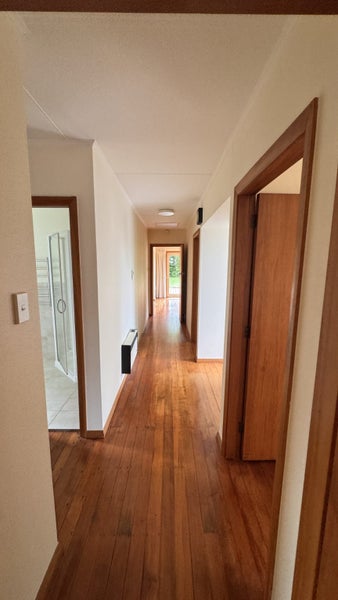 56 Havill Street, Takaro, Palmerston North - Carousel 24