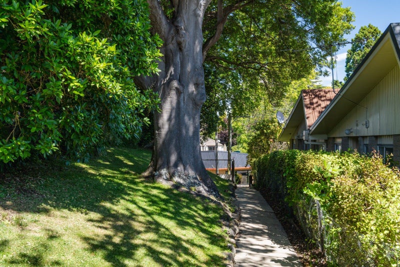 43 Melrose Street, Roslyn, Dunedin - Carousel 40