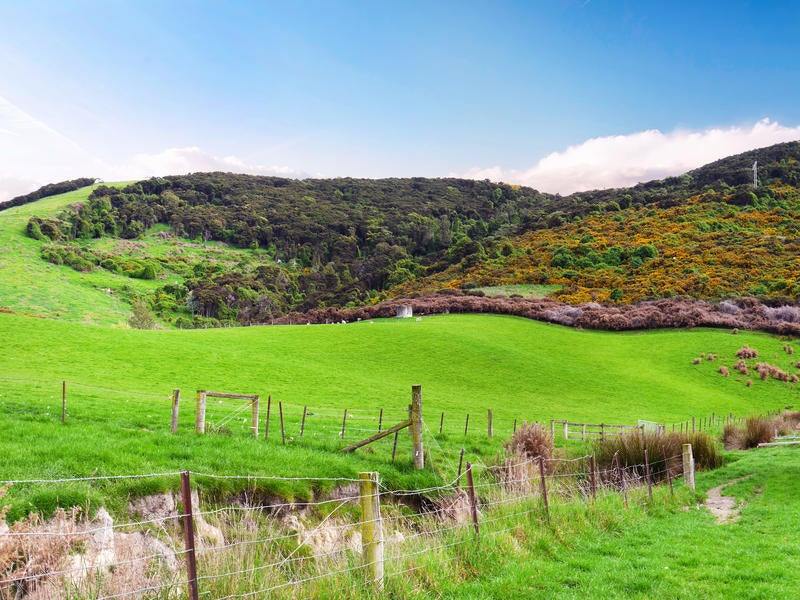 412A Outram-Mosgiel Road, Outram - Carousel 1