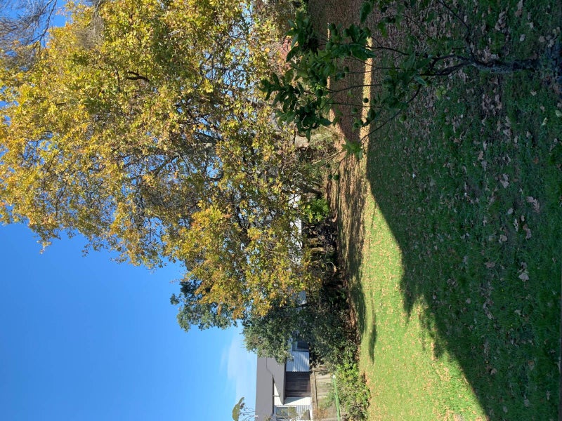 57 Castledine Crescent, Glen Innes, Auckland - Carousel 1
