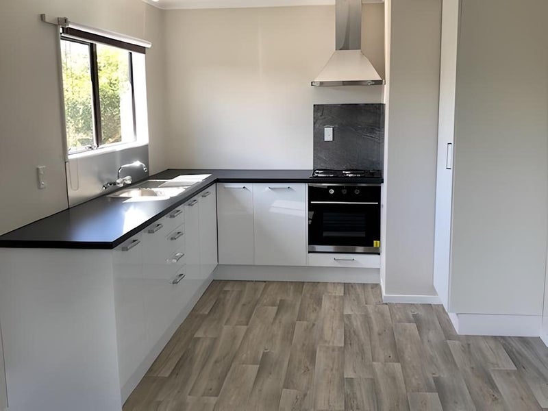 60B Bandon Street, Frankton, Hamilton - Carousel 2