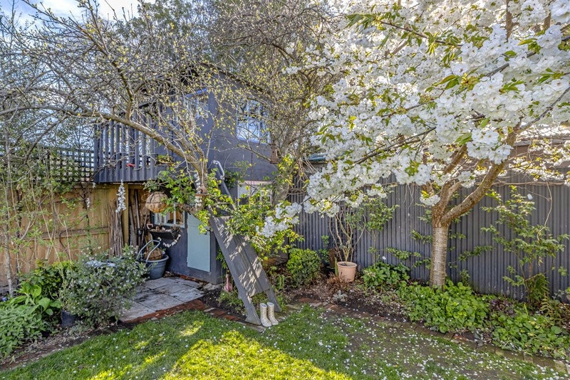 17 Cooke Street, Somerfield, Christchurch - Carousel 28