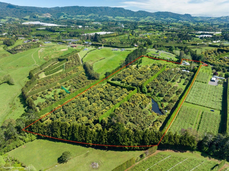 39 Hot Springs Road, Katikati - Carousel 45