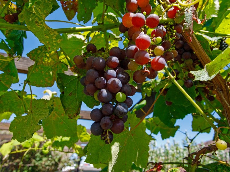 3/53A Hinemoa Street, Whakatane, Whakatane - Carousel 21