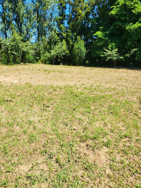 692 Tirau Road, Karapiro, Cambridge - Carousel 25