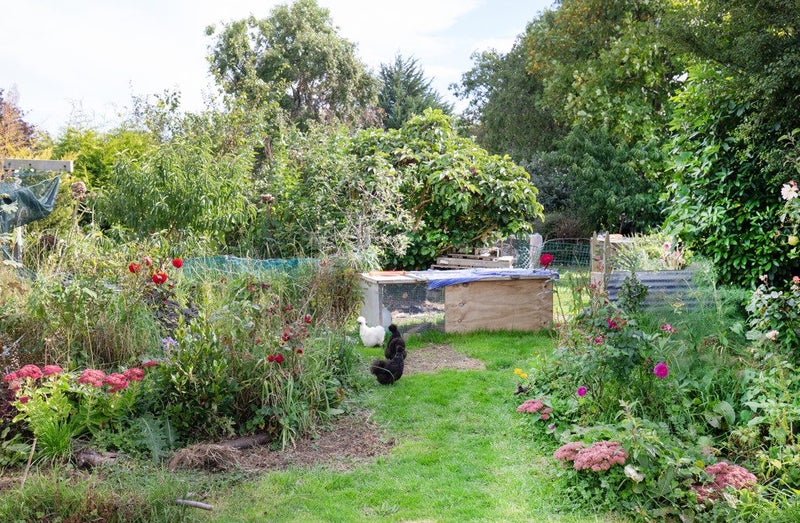 45 Maitland Street, Strathern, Invercargill - Carousel 17