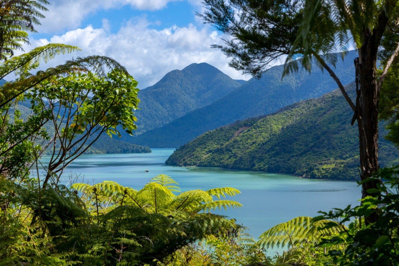 47 Korimako Rise, Picton - Carousel 1