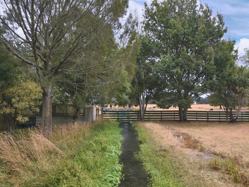 1923 State Highway 2, Greytown - Carousel 22