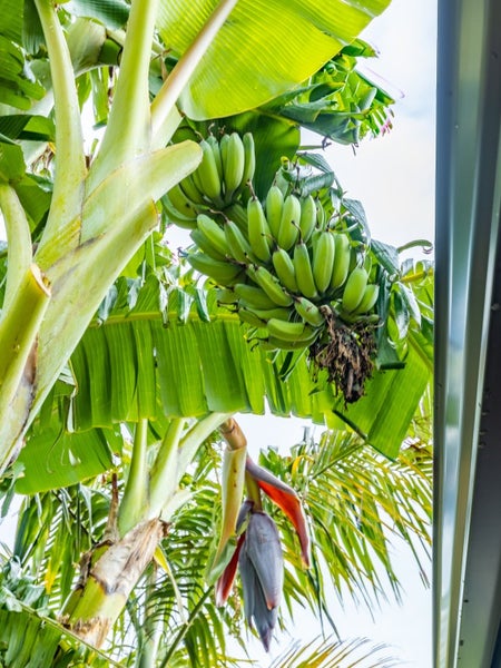 3 Cessna Lane, Glen Avon, New Plymouth - Carousel 22