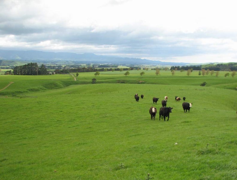 121 Potter Road, Albany - Carousel 1