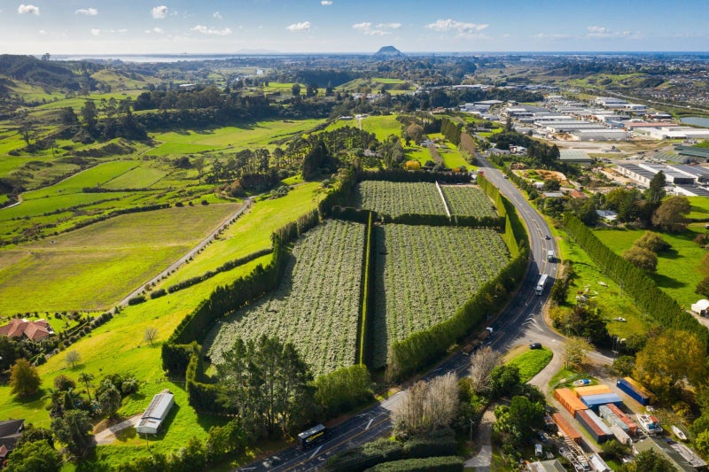 888 State Highway 29, TAURIKO, TAURANGA - Carousel 1