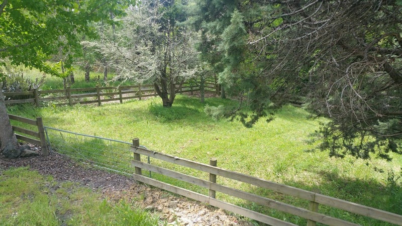 785 Dairy Flat Highway, Albany - Carousel 20