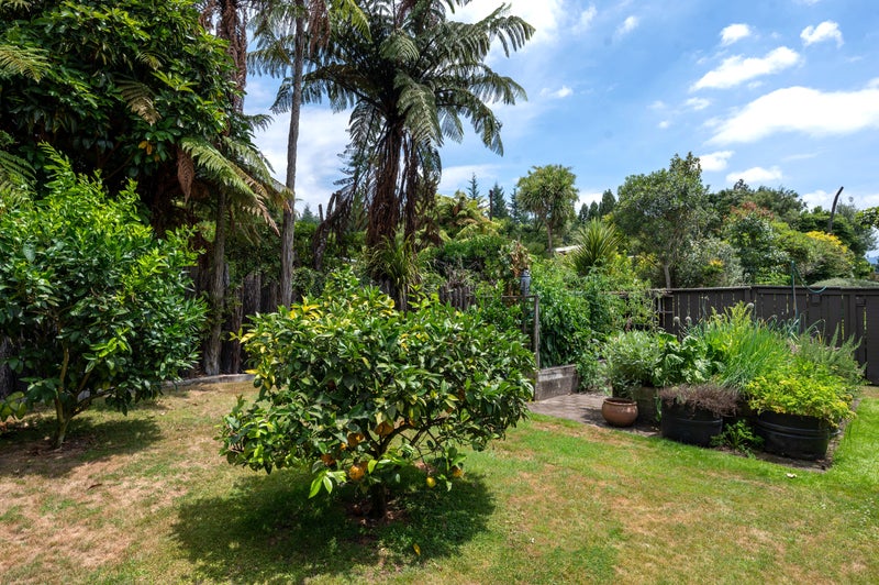 8 McDowell Street, Springfield, Rotorua - Carousel 25