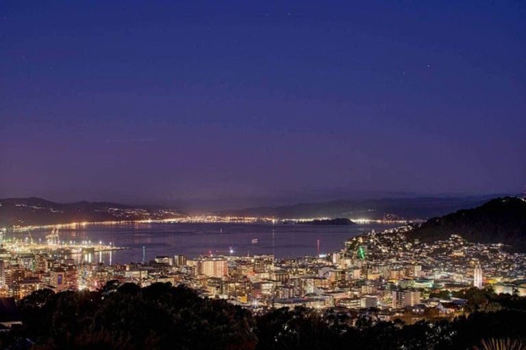 1 Washington Avenue, Brooklyn, Wellington - Carousel 13