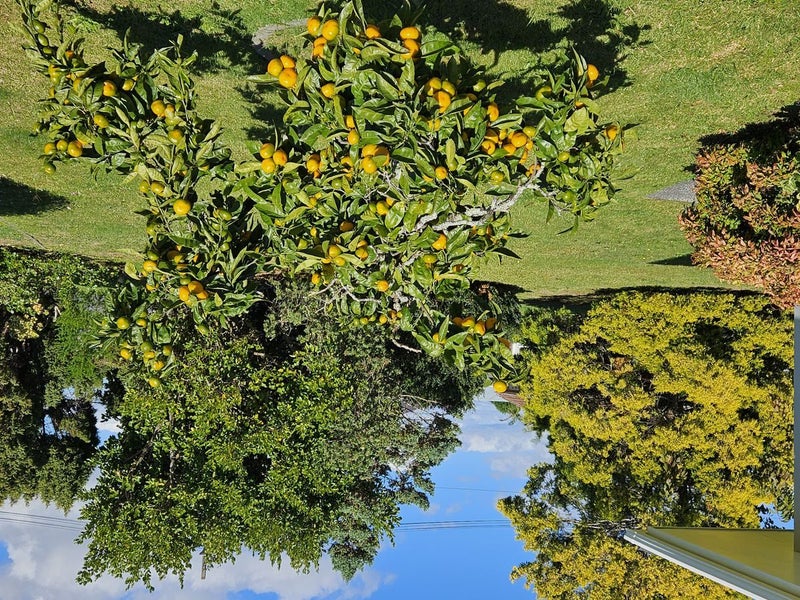 16 Elizabeth Street, Kensington, Whangarei - Carousel 18