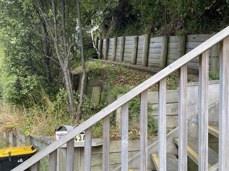 43 Balfour Street, Mornington, Wellington - Carousel 10