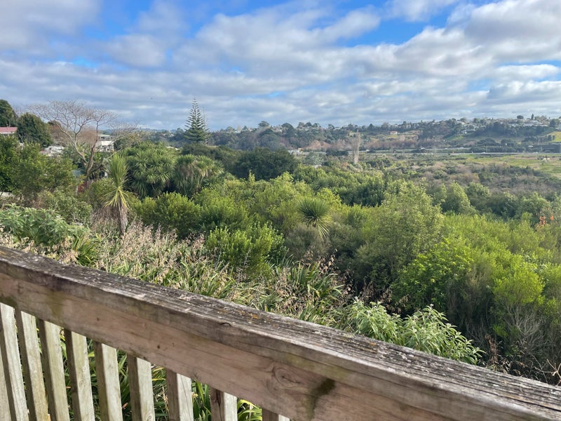 21B Murray Street, Gate Pa, Tauranga - Carousel 10