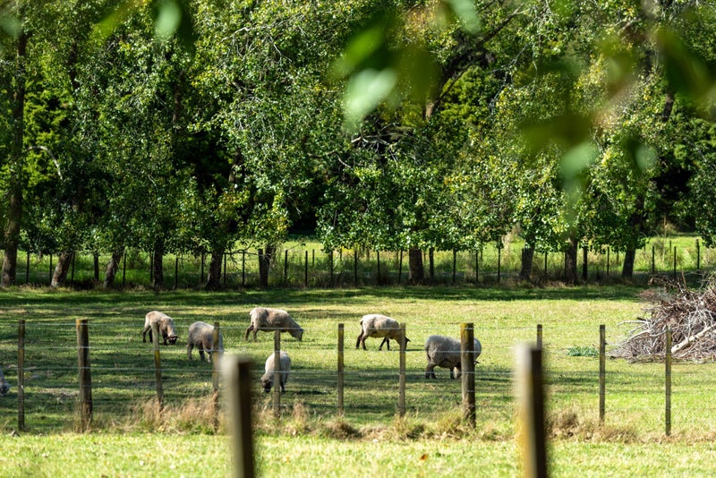 326 Upper Waiwera Road, Silverdale - Carousel 2