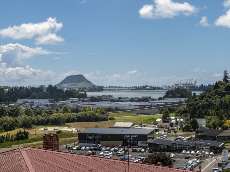 1/19 Clarke Street, Gate Pa, Tauranga - Carousel 1