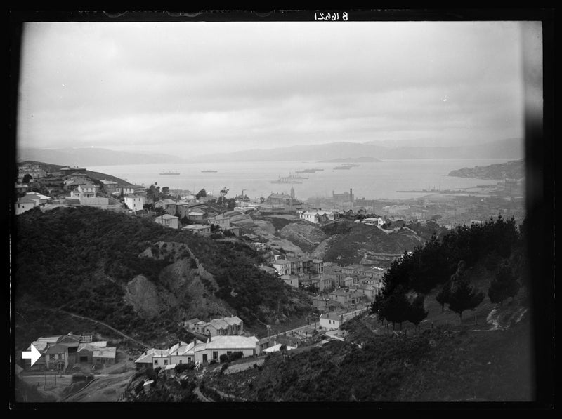 166 Aro Street, Aro Valley, Wellington - Carousel 22