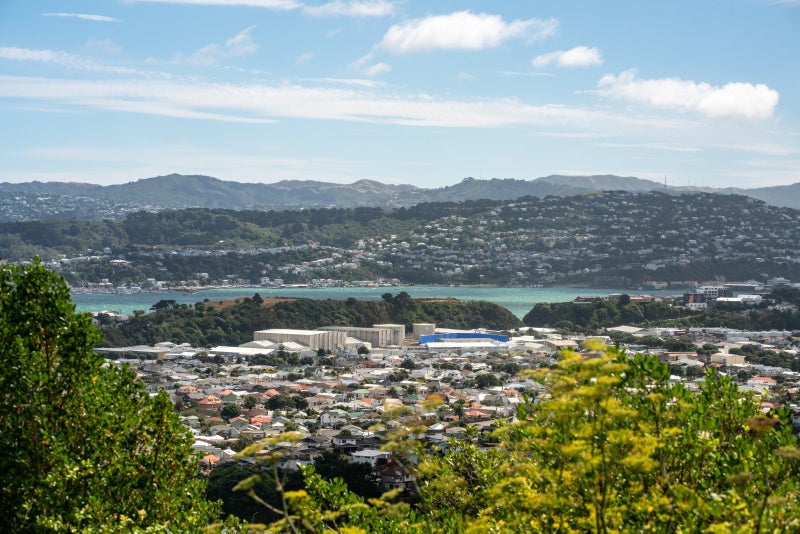 82 Beacon Hill Road, Strathmore Park, Wellington - Carousel 2