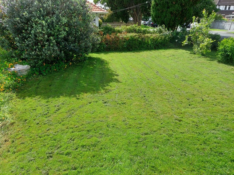 24 Buckley Road, Epsom, Auckland - Carousel 14