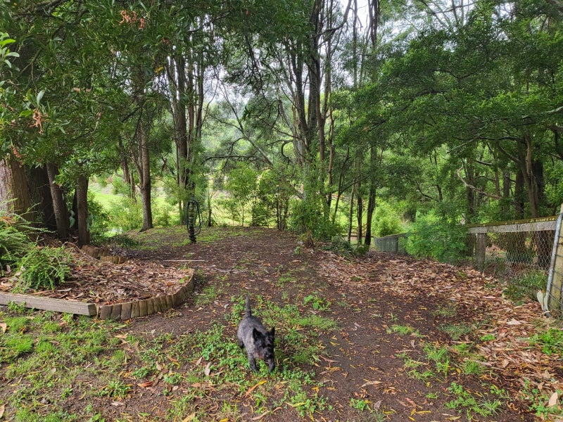 16 Karaka Place, Taupo - Carousel 25