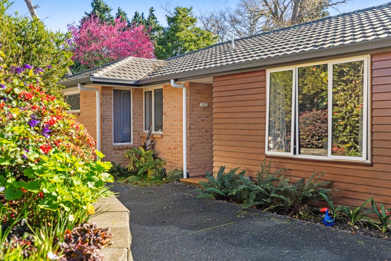1-16/17 Simmonds Grove, Greerton, Tauranga - Carousel 17