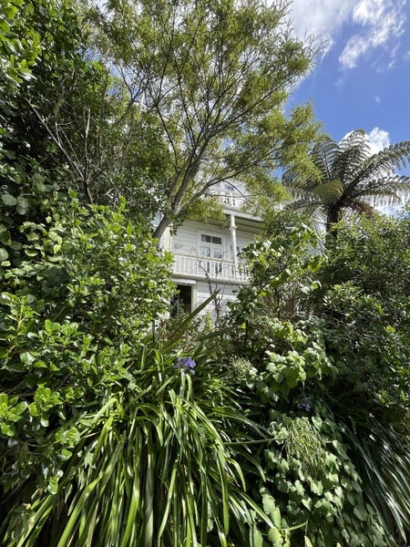 103 Tasman Street, Mount Cook, Wellington - Carousel 1