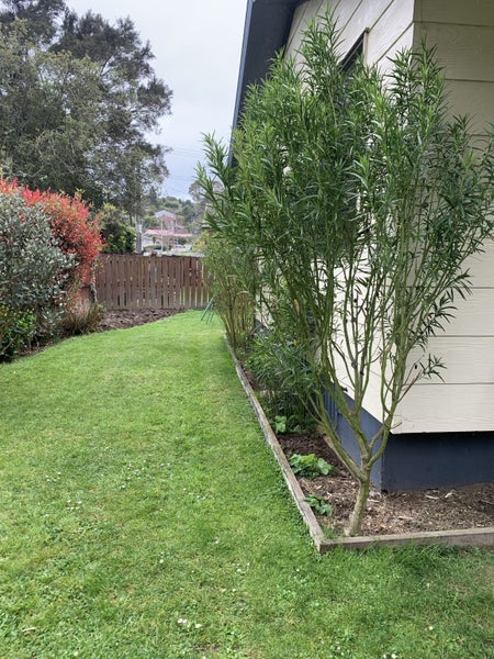 209B Whatawhata Road, Dinsdale, Hamilton - Carousel 4