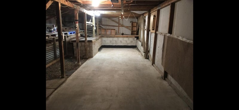 1/8 Ikatere Place, Raumanga, Whangarei - Carousel 19