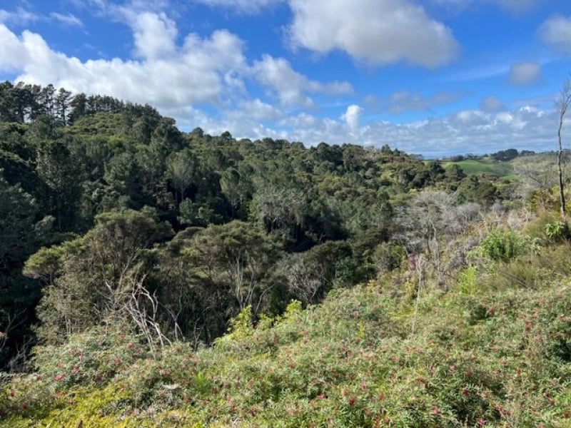 0 Awhitu Central Road, Awhitu, Waiuku - Carousel 4