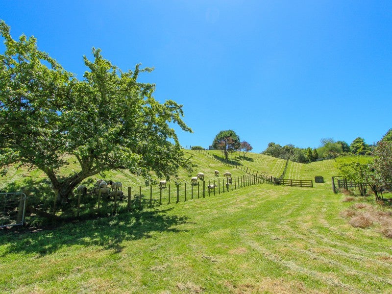 56 Ward Road, Hamurana - Carousel 26