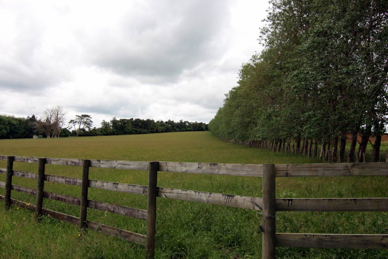 443B Murray Road, Tuakau - Carousel 28