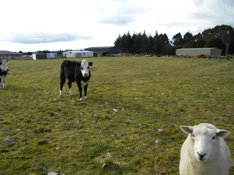 19A Mehrtens Road, Arahura Valley, Hokitika - Carousel 2