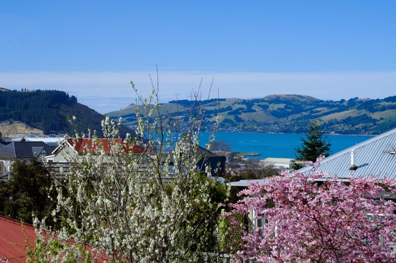 43A Duncan Street, Dunedin Central, Dunedin - Carousel 18