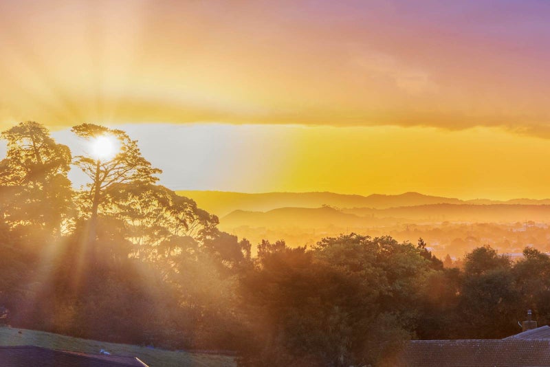 3 Meadowridge Drive, Flat Bush, Auckland - Carousel 2