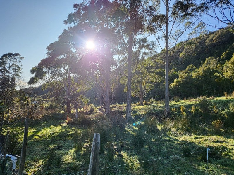 42 Herd Street, Dunollie, Runanga - Carousel 7