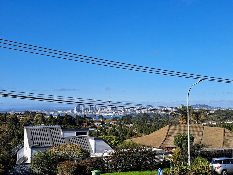 19 Balmain Road, Birkenhead, Auckland - Carousel 16