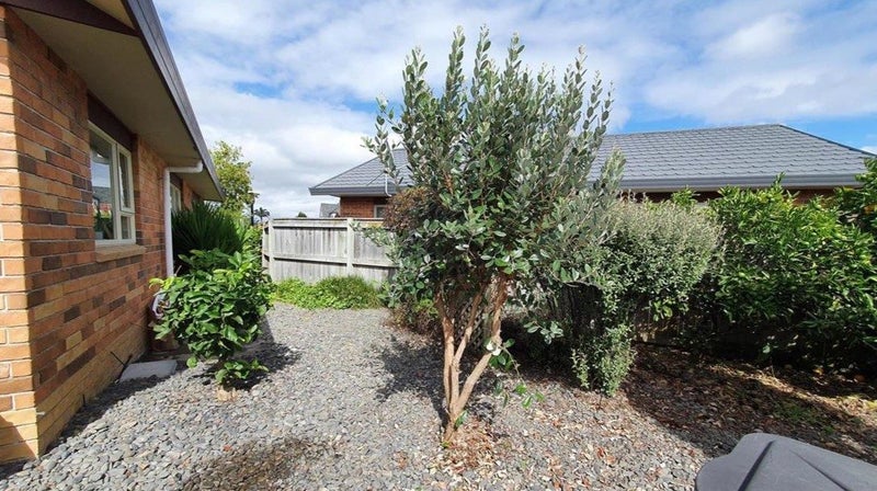 31/1232 Howard Street, Parkvale, Hastings - Carousel 13